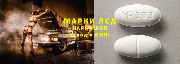 ПСИЛОЦИБИНОВЫЕ ГРИБЫ Горняк