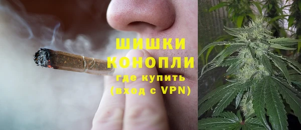ПСИЛОЦИБИНОВЫЕ ГРИБЫ Горняк