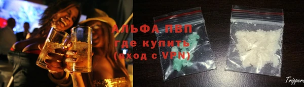 прущие грибы Братск