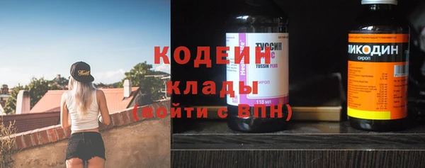 прущие грибы Братск
