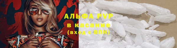 мяу мяу мука Кострома