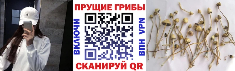 магазин продажи наркотиков  Добрянка  Псилоцибиновые грибы мухоморы 