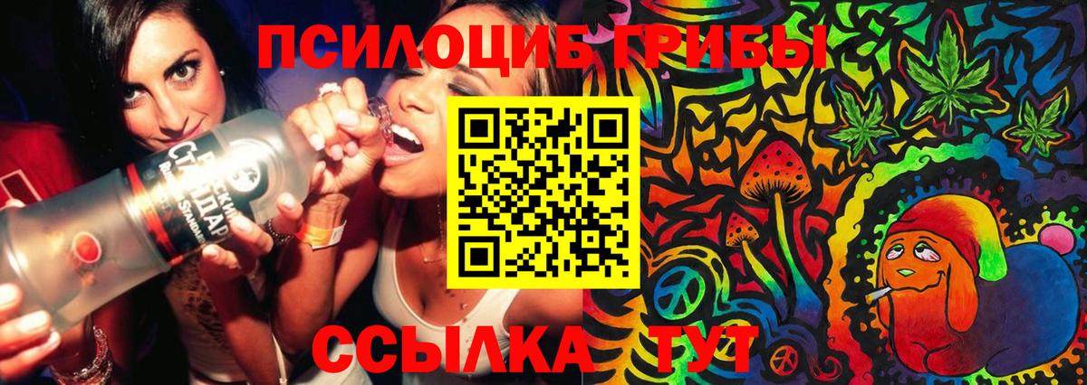 Галлюциногенные грибы Psilocybine cubensis Добрянка