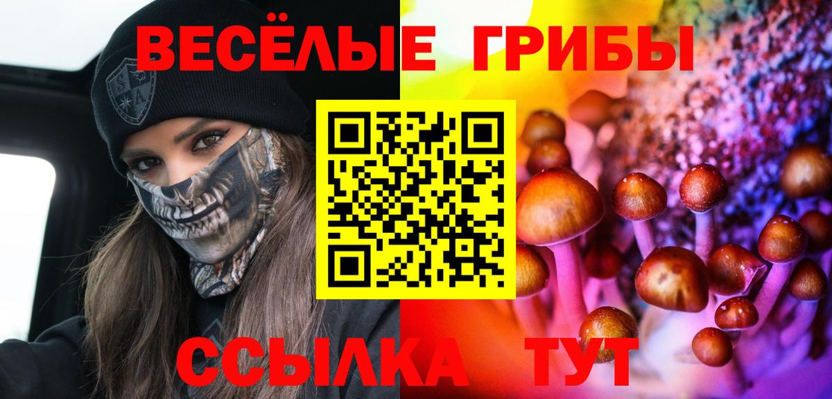 Добрянка  Галлюциногенные грибы Psilocybine cubensis  Псилоцибиновые грибы ЛСД  Вход с VPN 